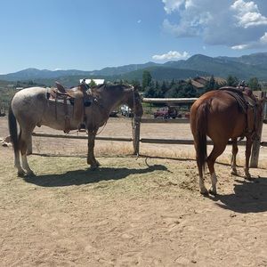 Meet your Posher, Jody